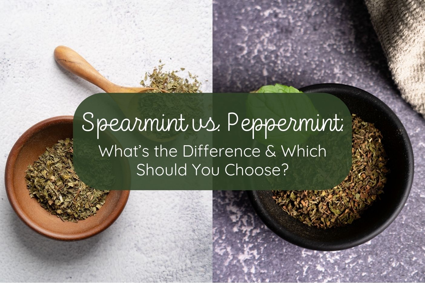 Peppermint vs. Spearmint: Find Your Perfect Fresh Mint Tea